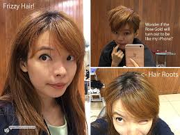 Shunji Matsuo 13 x Rose Gold Hair for 2016