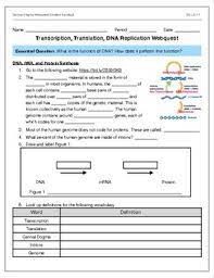 B iii a c d Transcription Translation Worksheet Teachers Pay Teachers