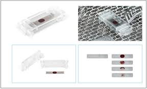 Processes and performance should drive SPD improvements ...