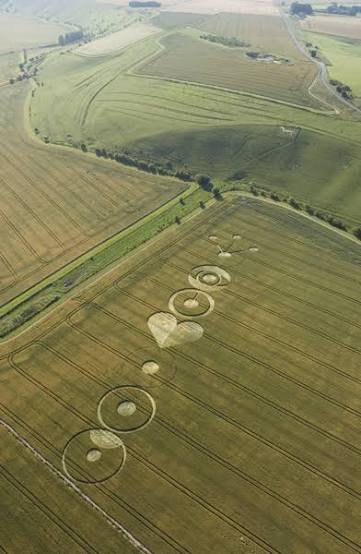 Pewsey White Horse (2), Wiltshire | 22nd July 2004 | Wheat L - Temporary  Temples