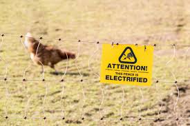 A component called a power energizer converts power into a brief high voltage pulse. Electric Fence For Chickens And Goats