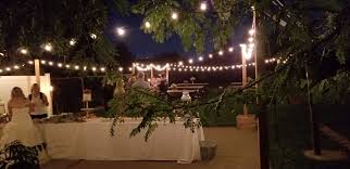 Outdoor Wedding Edison Lights Evening Classic Edison Lighting Outdoor Wedding Lights