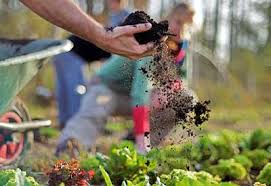 When it comes to flower gardening and growing vegetables too, good bed preparation is the key to success. How To Prepare Garden Soil For Planting Planet Natural