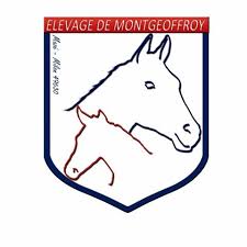 Cliquez sur le département pour plus d'informations ! Eleveurs Pays De La Loire Cheval Reference