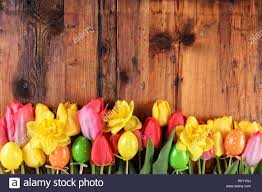 Ostern ist das höchste kirchliche fest in der christlichen kirche! Ostern Im Hintergrund Rosa Und Gelbe Tulpen Und Narzissen Blumen In Der Zeile Auf Alten Holzernen Planken Stockfotografie Alamy