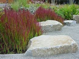 Pin On Garden Ideas