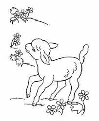 The best selection of royalty free hand drawn lamb chop vector art, graphics and stock illustrations. 34 Lamb Coloring Pages Ideas Coloring Pages Lamb Coloring Pictures