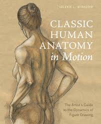 A diagrammatic drawing of the jaw; 5 Drawing Books That Will Help You Render The Human Figure