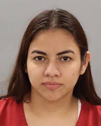 LIGON, WANZELLE DION Charges: POSS UNLAW DRUG PARAPHERNALIA USES &  ACTIVITIES TAMPERING W/ EVIDENCE RESIST STOP,ARREST,SEARCH (NO WEAP) CHILD  ABUSE/NEGLECT/ENDANGERMENT