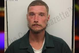 Alex Morris: https://thegeorgiagazette.com/chatham/alex-morris-7/