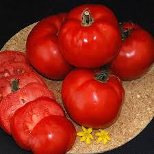Check spelling or type a new query. Tomato Sioux Seeds Tomato Plant World Seeds
