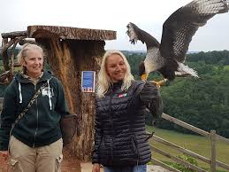 🎤 conny krainz von radio steiermark hat uns besucht und einige bewohner(innen) zum thema frühjahrsputz interviewt. Conny Krainz Lasst Greifvogelwarte Riegersburg Facebook