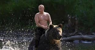 Look at links below to get more options rides a bear in. Analysis Is Putin Right About Liberalism Being Obsolete Memento