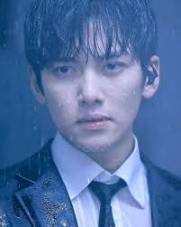 Elaine Ceccacci (ceccacci)