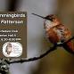 Winter Hummingbirds event image