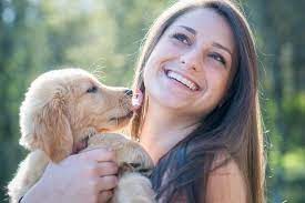 Hire local 50 dog boarding kennels near you. How Much Does A Dog Sitter Cost Pawshake Blog