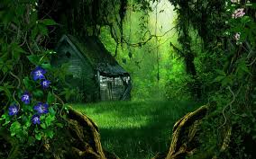Maybe you would like to learn more about one of these? Resources Forest Wallpaper Fantasy Forest Photo Backgrounds