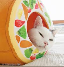With storage solutions for every room. Mondo Mascots On Twitter There S A New Japanese Cat Bed That Looks Like A Fruit Tart