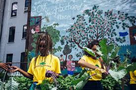 Good places to look for them are in the many public parks; Urban Farming Camps Have Kids Asking Where S The Healthy Food The New York Times