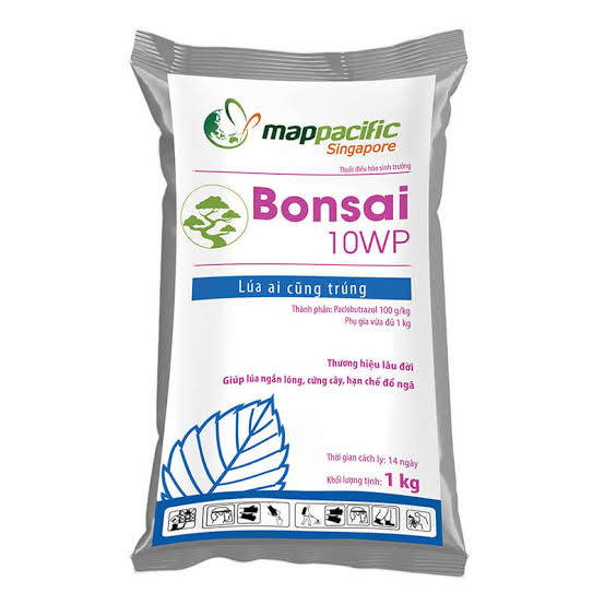 Bonsai 10WP