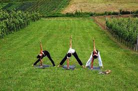 Maybe you would like to learn more about one of these? 3 Day Weekend Short Break Wellness And Yoga Holiday Croatia Hrvatska Retreatkula Com