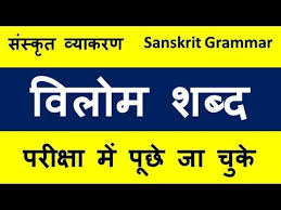 महत वप र ण स स क त व ल म शब द ह द अर थ क स थ Sanskrit Opposite Word With Hindi Meani In 2020 Samoan Tribal Tattoos Hawaiian Tribal Tattoos Filipino Tribal Tattoos