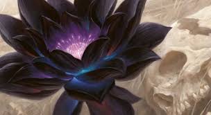 David ochoa peleador de k1, kick boxing y muay thai. Vintage 101 Vsl Season Five With Randy Buehler