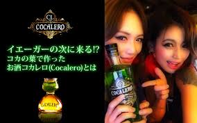 イエーガーの次に来る コカの葉で作ったお酒コカレロ Cocalero とは Shilason