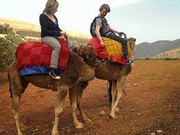 Trip to atlas mountains and agafay's desert. Atlas Mountains And Camel Ride Small Group Day Trip From Marrakech Tours Activities Fun Things To Do In Marrakech Morocco Veltra