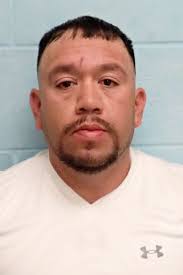 Investigation leads to 13 prostitution, solicitation arrests