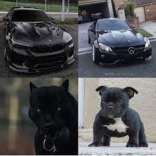 Which One Dream Cars Bmw Super Luxury Cars Bmw