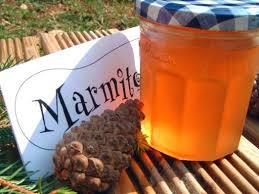 Confiture De Bourgeons De Sapin Recette Confiture Recette Confiture Nourriture Chien