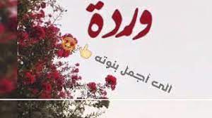 شجر شائك له زهر مختلف الألوان منه ما هو ذو رائحة عطرية يستقطر منه ماء. Ø¢Ø¬Ù…Ù„ ØªØµÙ…ÙŠÙ… Ø¹Ù„Ù‰ Ø§Ø³Ù… ÙˆØ±Ø¯Ø© Ù„Ø§ ØªÙÙˆØªÙˆ Ø¨Ø¬Ù†Ù† Youtube