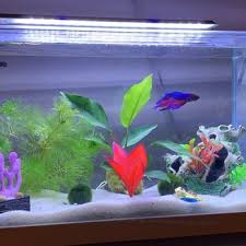 We did not find results for: The Reef Aquarium Shop 115 Photos 47 Reviews Local Fish Stores 5613 N Keystone Ave Indianapolis In Phone Number