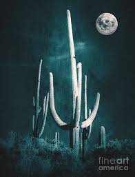Grain moon, sturgeon moon, red moon, wyrt moon, corn. Desert Moon Mixed Media By Kafra Art