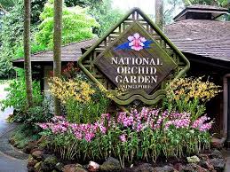 While We Now Have A New Mega Garden Gardens By The Bay Don T Ever Forget The Evergreen Favorite Nat Singapore Botanic Gardens Botanic Park Botanical Gardens