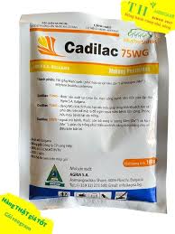 Cadilac 75WG