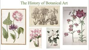 Maybe you would like to learn more about one of these? History Of Botanical Art Youtube