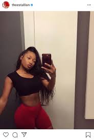 Her infectious confidence, charismatic rap style, and unabashed sexuality have attracted millions of fans around the world to her, whom she affectionately calls her hotties. Bdk ×'×˜×•×•×™×˜×¨ Megan Thee Stallion Is Fine Ass Fuck W Out Makeup You Hating Ass Hoes Need To Stop