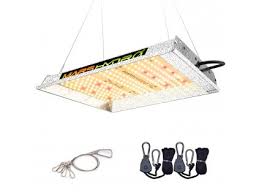 Discover the best fluorescent and led grow lights for all your indoor gardening needs: Best European Led Grow Lights Supplier Ledgrowshop Eu