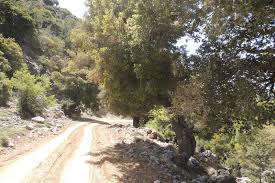 Σαρακήνα) is a village and a community of the langadas municipality. Sarakina Gorge Jeep Safari Go Crete Safari On Crete Greece