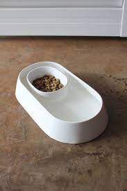 Benji Moon Anti Ant Ceramic Pet Bowl For Cats And Small Dogs Benjiandmoon Antiant Antiantdogbowl Antiantcatbowl A Cat Food Bowl Dog Food Bowls Dog Bowls
