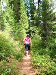 Museum and Larry's trails may soon be history