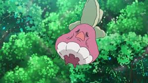 Now let's get outta here. Pokemon Sun And Moon Episode 18 Laptrinhx News