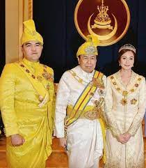 Tengku amir, 2016 yılında 26 yaşında resmi olarak veliaht prens olarak atandı. Warisan Raja Permaisuri Melayu Pewaris Dytm Tengku Amir Shah