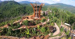 We did not find results for: Anakeesta There S Magic In The Mountains Gatlinburg Tn