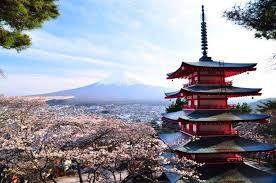 Download animated wallpaper, share & use by youself. Japan Asian Architecture Mount Fuji Cherry Blossom Hd Wallpapers Desktop And Mobile Images Photos
