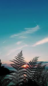  Pin Oleh Sana Saleem Di Imagem De Fundo Wallpaper Alam Wallpaper Yang Indah Wallpaper Pantai