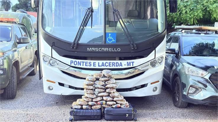 &Ocirc;nibus de prefeitura que transportava pacientes &eacute; flagrado com 31 tabletes de maconha em MT - Midia Rural