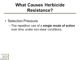 Using The Herbicide Classification Chart Ppt Video Online